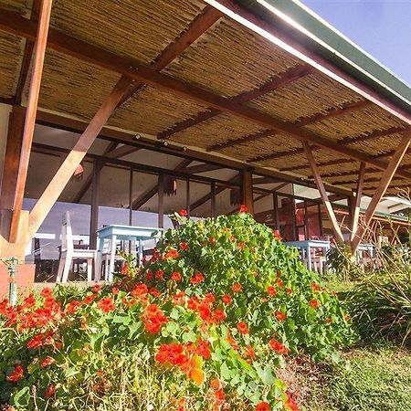 Chayote Lodge Naranjo  Kültér fotó