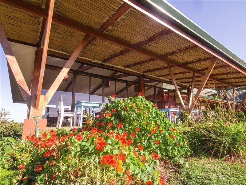 Chayote Lodge Naranjo  Kültér fotó
