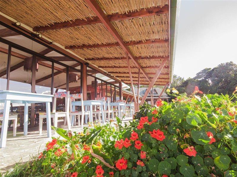 Chayote Lodge Naranjo  Kültér fotó