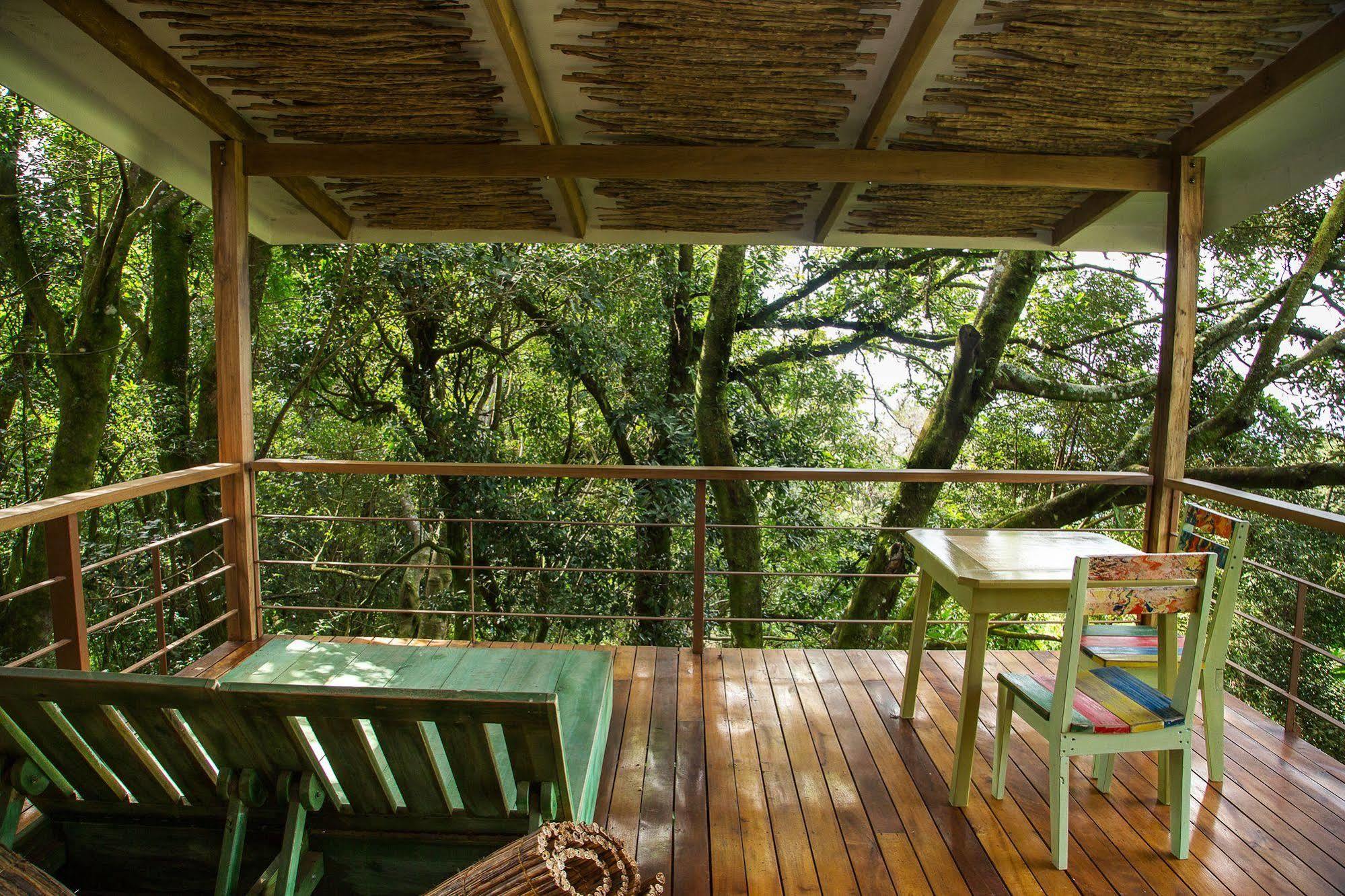 Chayote Lodge Naranjo  Kültér fotó